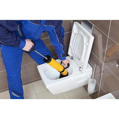 Вантуз сантехнический Rems Pull-Push Вантуз сантехнический Rems Pull-Push